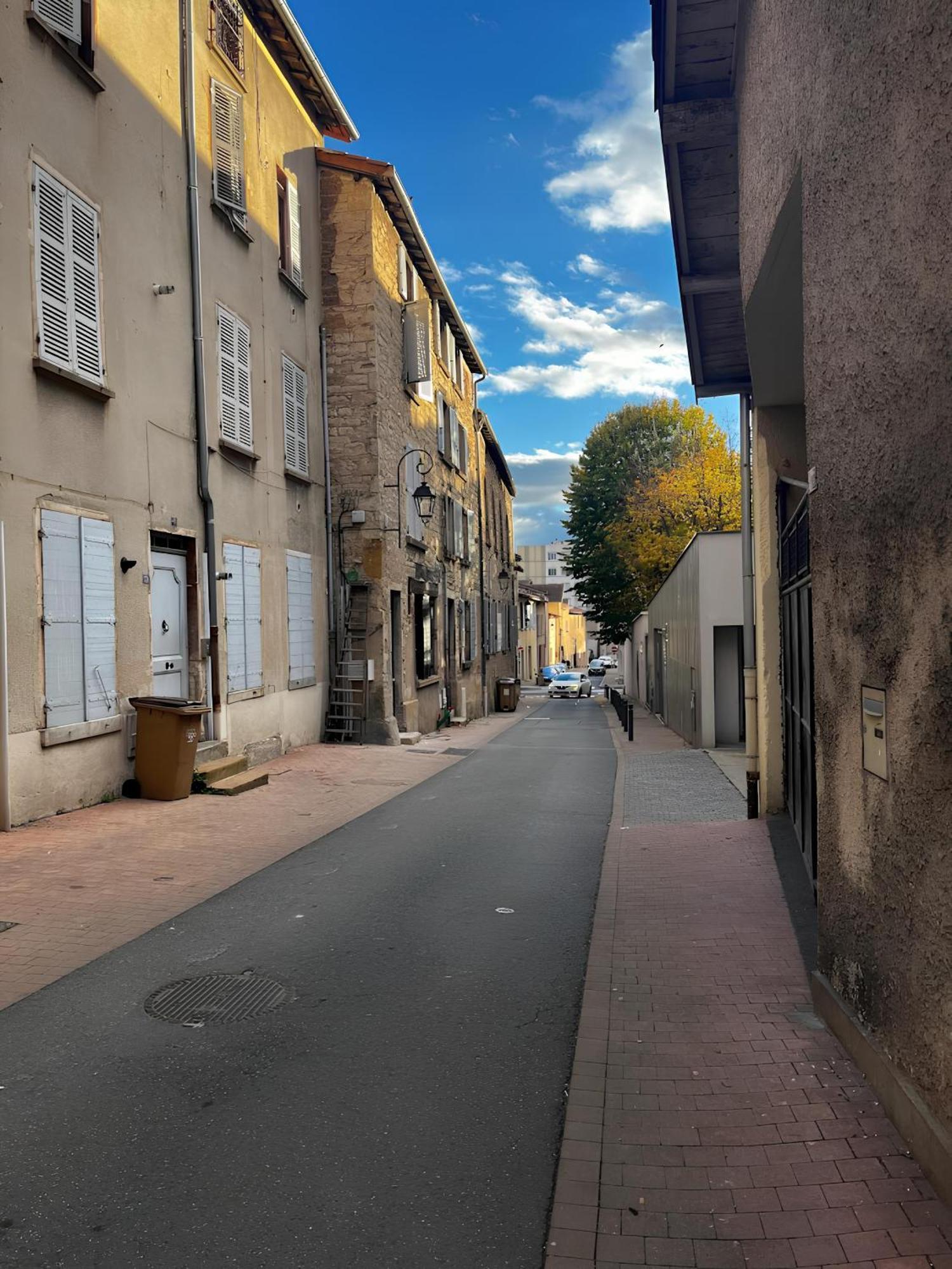 Tinyhouse Experience In Beaujolais Lejlighed Villefranche-sur-Saône Eksteriør billede